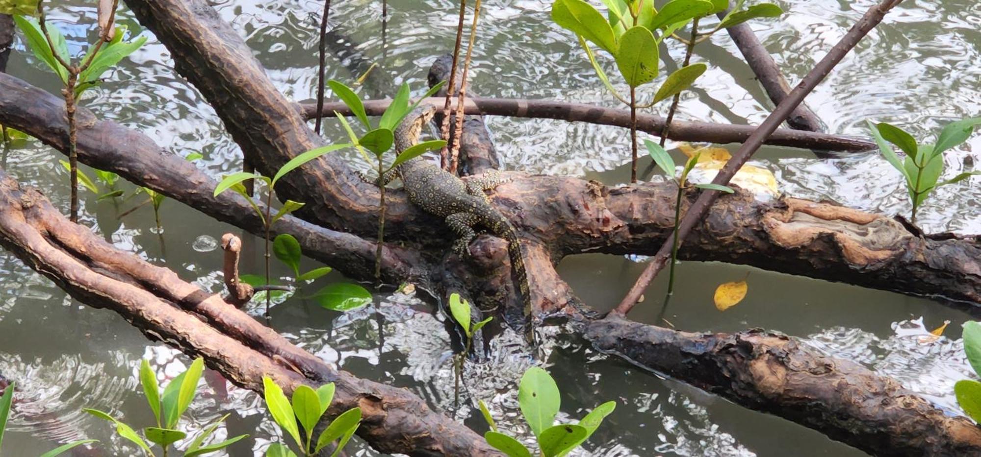 Phang Nga Bay Khanittha Homestay Ban Khiam ภายนอก รูปภาพ